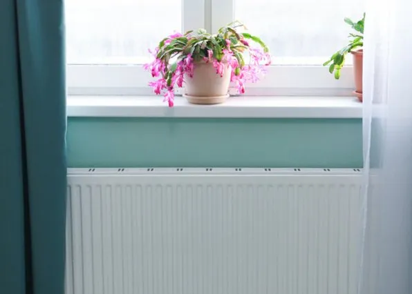 Фотография из галереи