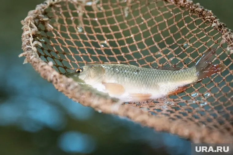 Груз ехал из Екатеринбурга в Казахстан