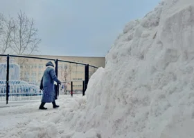 В Кургане организуют площадки для хранения снега