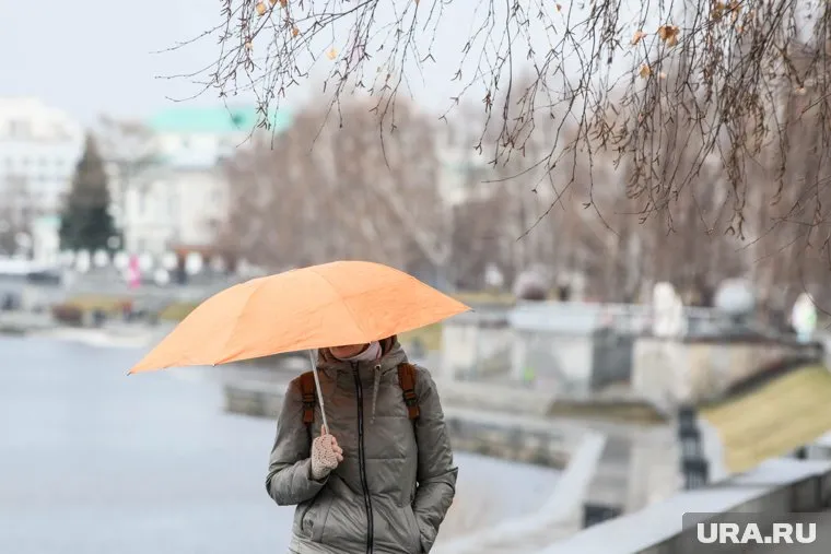 Вместе с дождем в регионе усилится ветер
