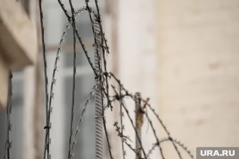 Депутаты хотят освободить часть осужденных женщин в честь Дня матери