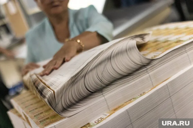 В бюджете на 2025 год на поддержку малых предпринимателей заложили в 12 раз меньше денег