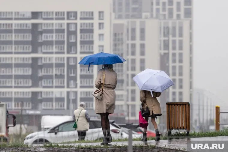Дождь обещают синоптики тюменцам 26 мая