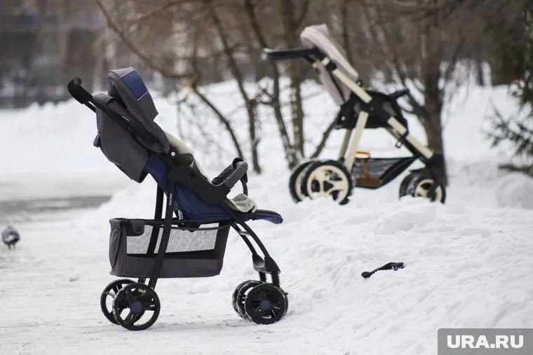 Сергей Миронов придумал, как простимулировать рождаемость