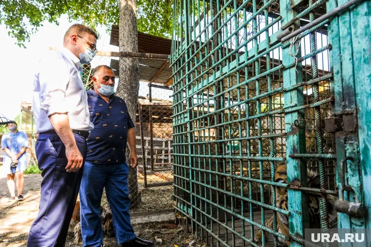 Карен Даллакян (справа) заявил, что не имеет претензий к Алексею Текслеру (слева)