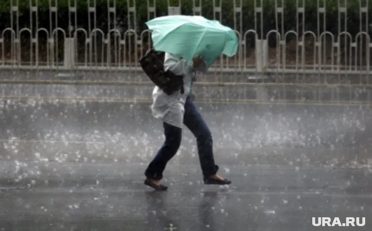 При ухудшении погоды спасатели рекомендуют не покидать здания и не находиться рядом с деревьями и неустойчивыми конструкциями