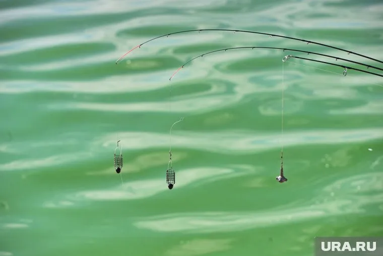 Житель Нижневартовска поймал карася со странным наростом на голове