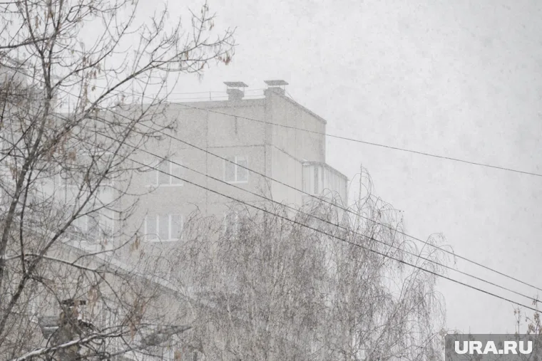 В Югре 29 ноября ожидается сильный снег и метель