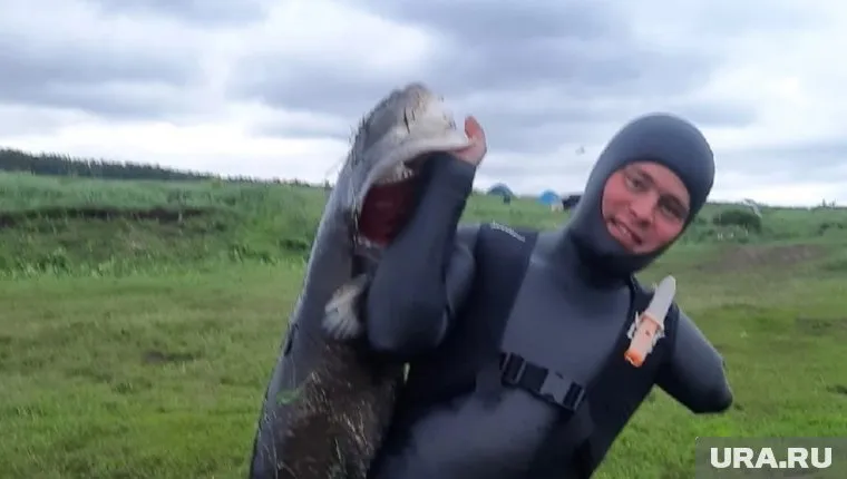 Это самый большой трофей Владимира