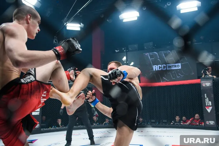 Турнир пройдет в канун Дня города, 28 июля