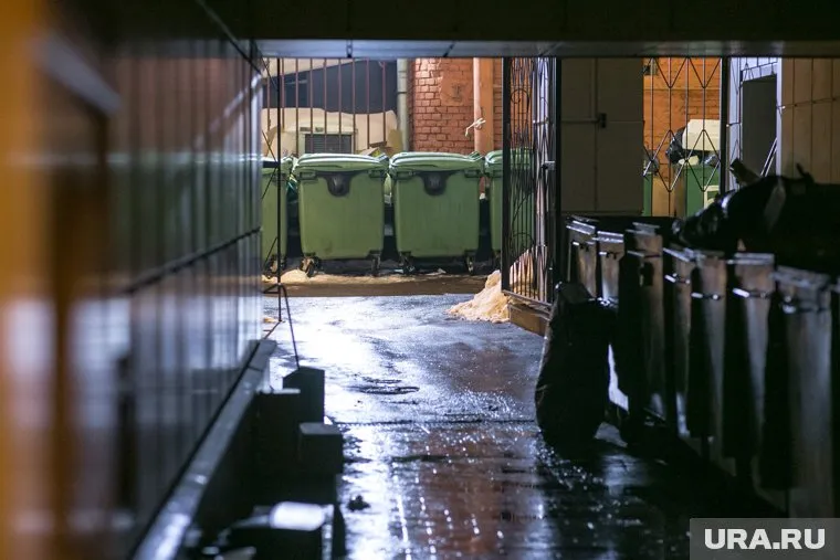 Крыс заметили за торговым центром (фото из архива)