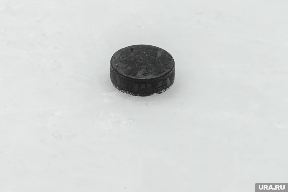 «Трактор» подписал пробный контракт с вратарем Лозебниковым