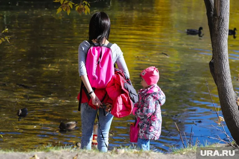 Заявления будут принимать до 1 октября
