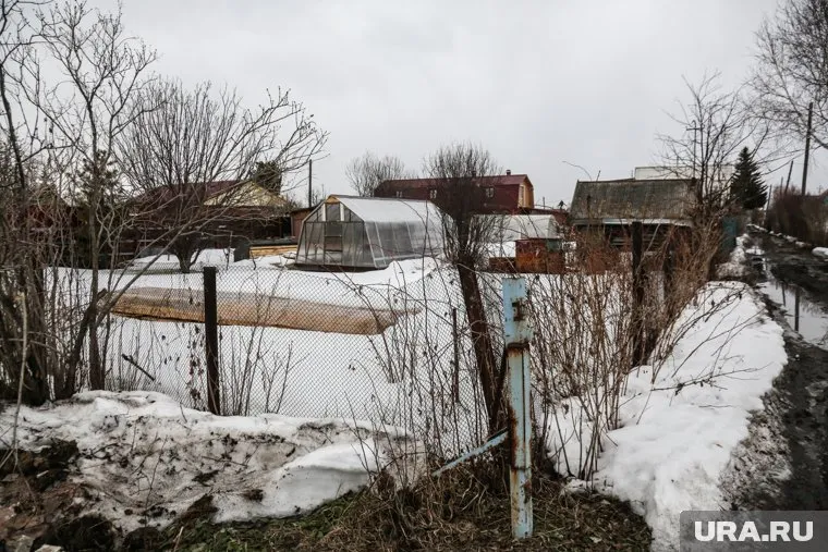 Дачный участок находится в 15 минутах езды от центра города