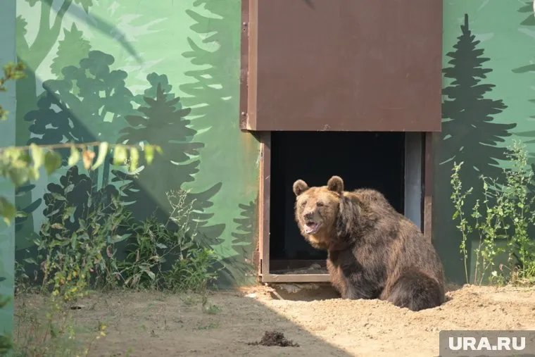 Обитатели зоопарка рады видеть гостей