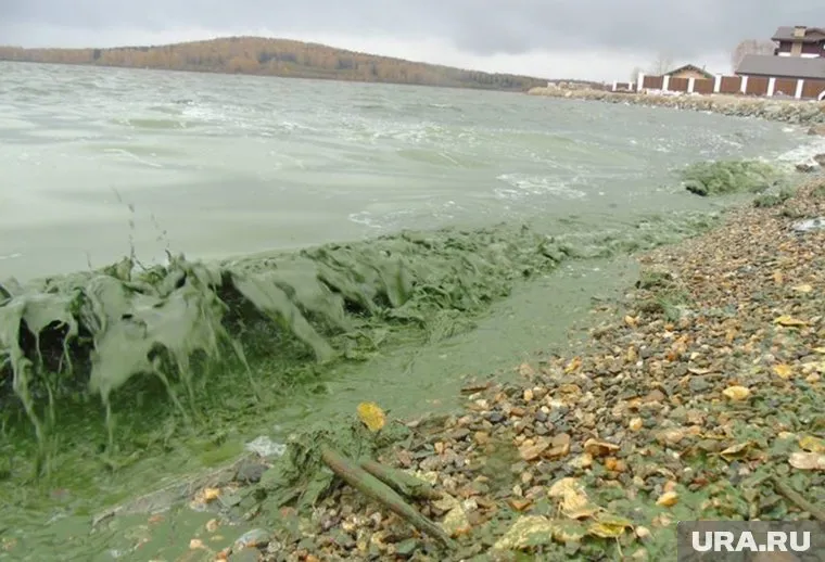 Черноисточинское водохранилище губят уже не в первый раз