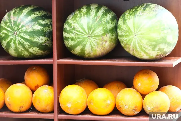 Врачи предупредили, что употребление арбуза и дыни в некоторых случаях может нанести вред здоровью