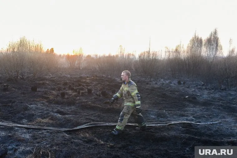 Пожары нанесли ущерб почти в 200 млн рублей, что в два раза больше предполагаемой суммы