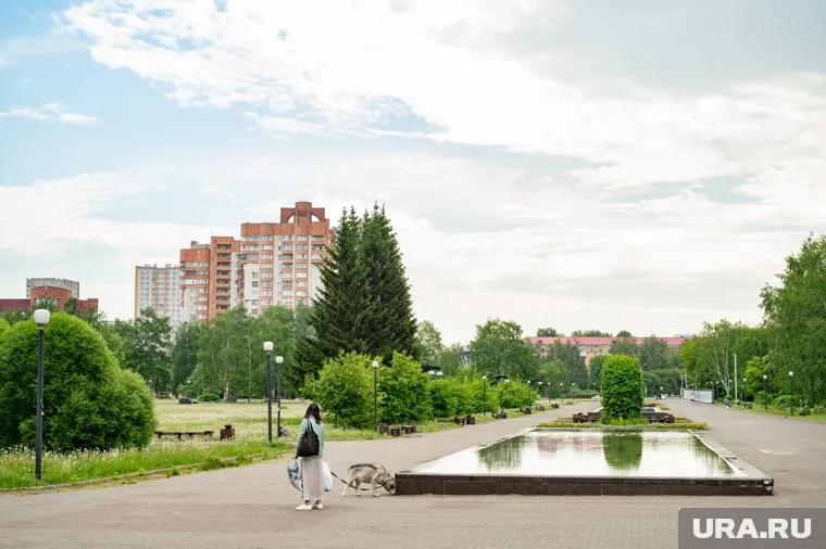 День в Пермском крае прогнозируется преимущественно без осадков