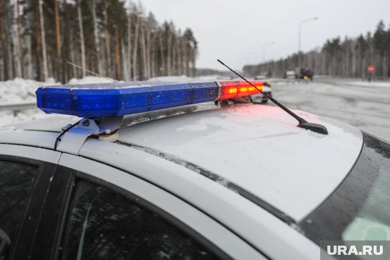 Глава челябинского села и депутат задержаны за жестокое убийство женщины