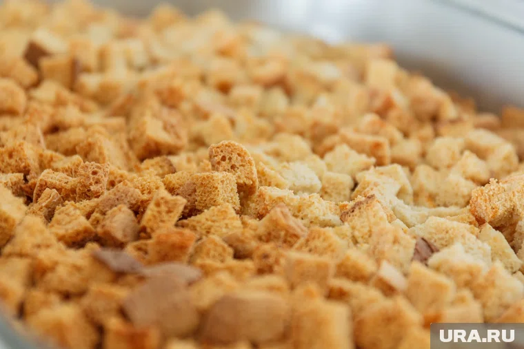  Владельцев «Кириешек» могут признать «экстремистским объединением»