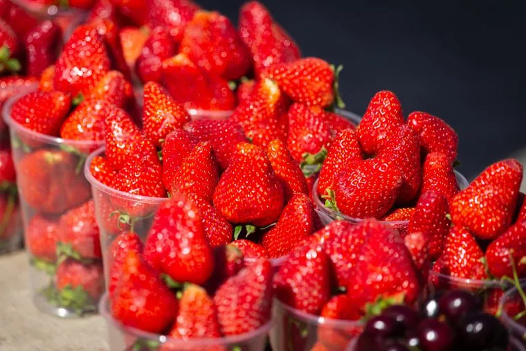 Свердловские зарисовки. Екатеринбург