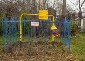 Фотография из галереи