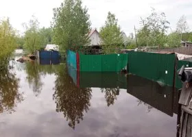 Фотография из галереи