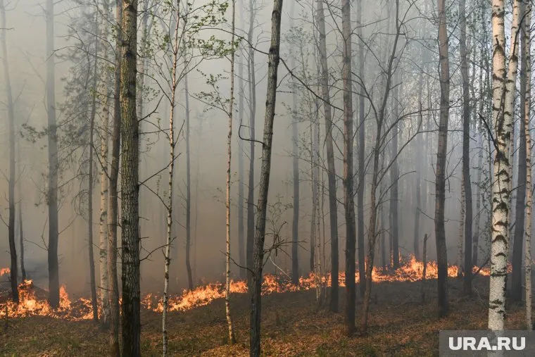 Лесные пожары в Челябинской области угрожают нескольким населенным пунктам