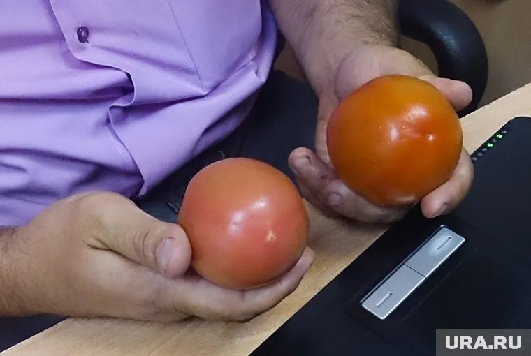 Холодное лето будет способствовать низким урожаям и росту цен