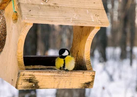 Фотография из галереи