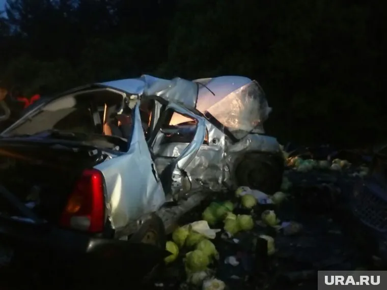 Семья ребенка погибла в ДТП на трассе Уфа—Инзер—Белорецк