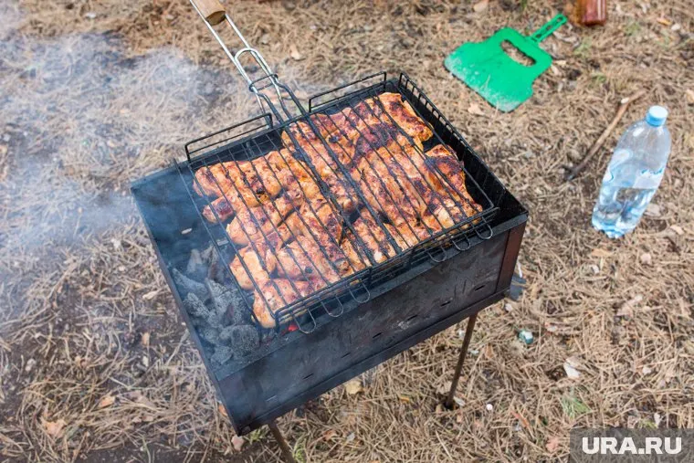 Чаще всего отдыхающих на майские штрафуют за разведение огня