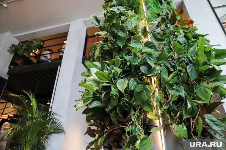 Зеленые заросли превратили дом в арт-объект (архивное фото)