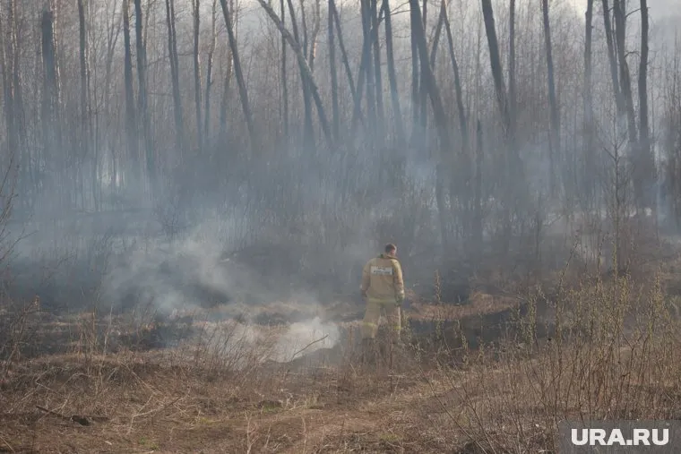 Общая площадь лесных пожаров в области — 75 658 гектаров