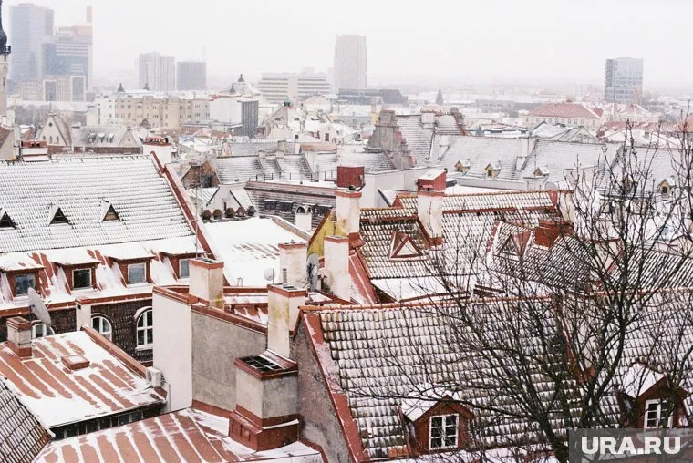 Литва и вся Прибалтика являются враждебно настроенными в сторону РФ странами, передает МИД России