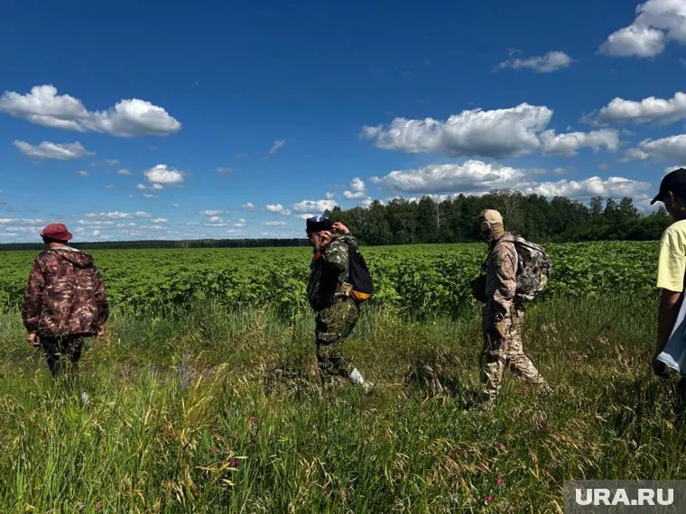 Волонтеры ищут женщину из Кургана (архивное фото)