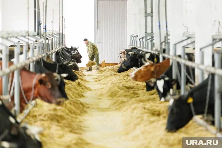 Аграрии объединяются в кооперации, чтобы решать общие вопросы