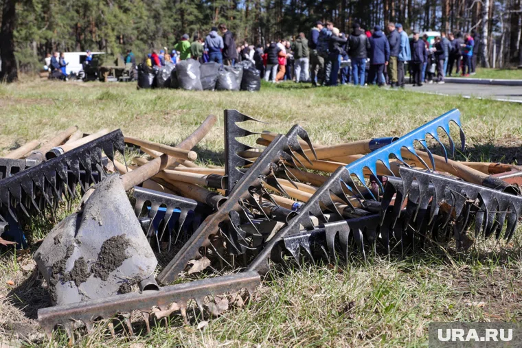 16 волонтеров подали заявку на мероприятие