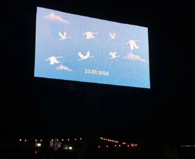 В Курганской области на медиаэкранах появились белые журавли