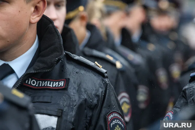 День полиции празднуют в России 10 ноября