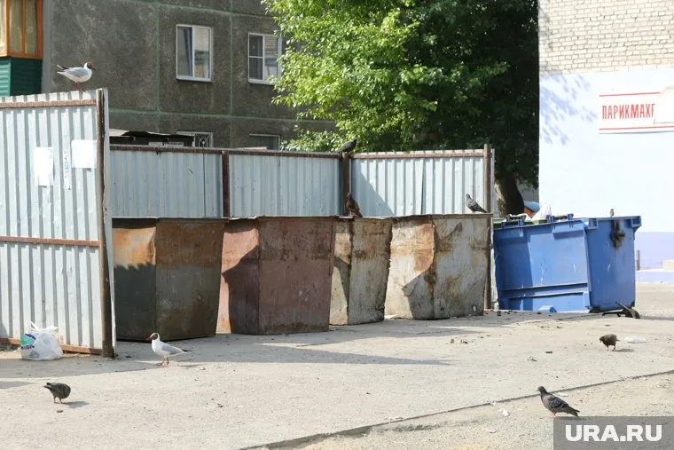 Вывоз мусора происходит по графику, однако часто к бакам невозможно подобраться из-за нерадивых водителей (архивное фото)