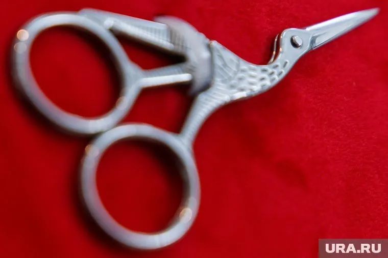 Парикмахер лишила пенсионерку волос из-за забытых дома денег