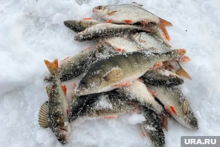 На озере хорошо клевало