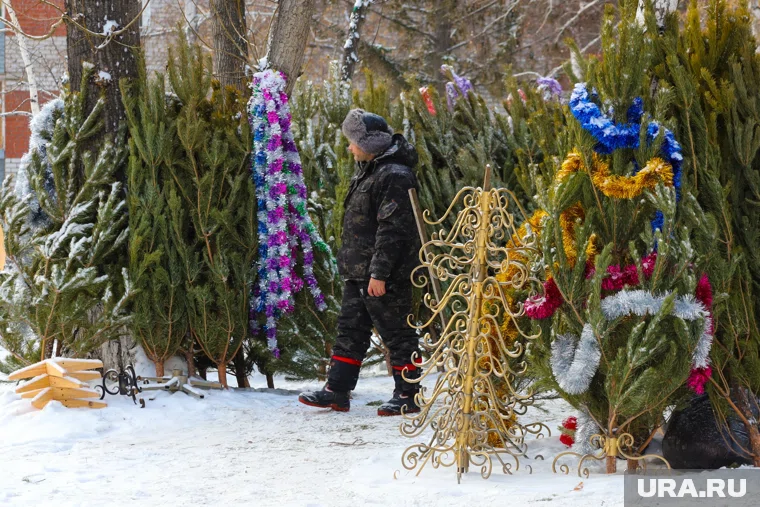 В Кургане назвали улицы, на которых откроются елочные базары