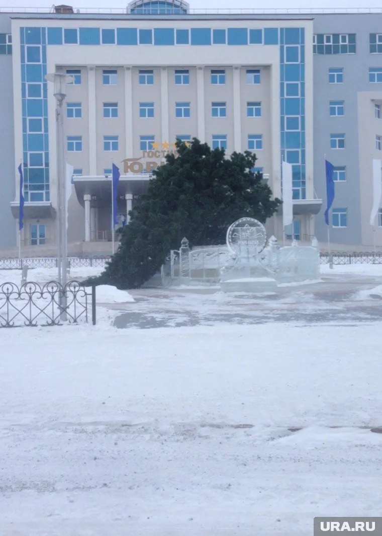 Елка согнулась в причудливой позе