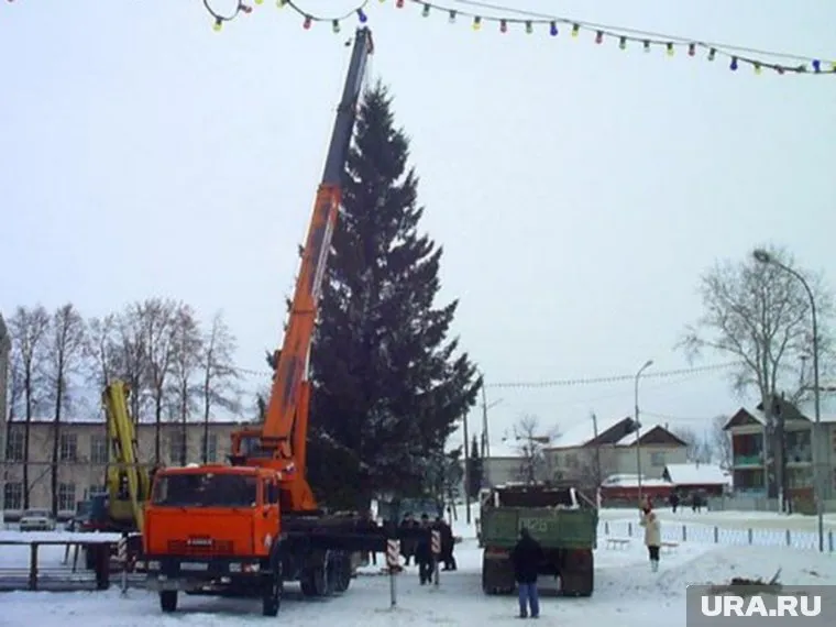 Установка елки в Ярково, которая была тайно срублена во дворе пенсионерки