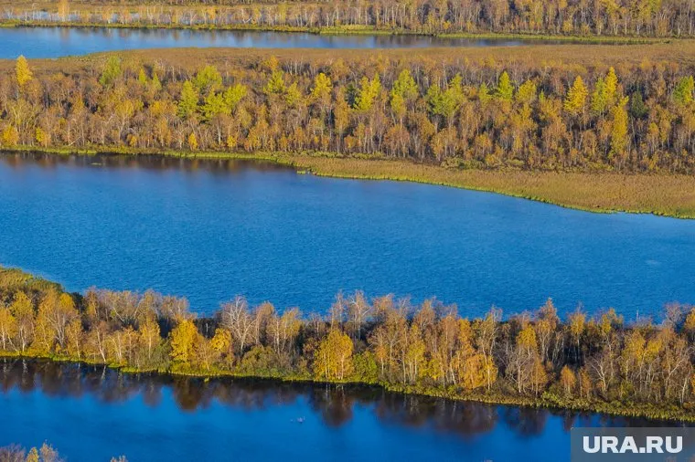 Шоу «Отпуск неподалеку» станет якорным проектом для «4 канала»