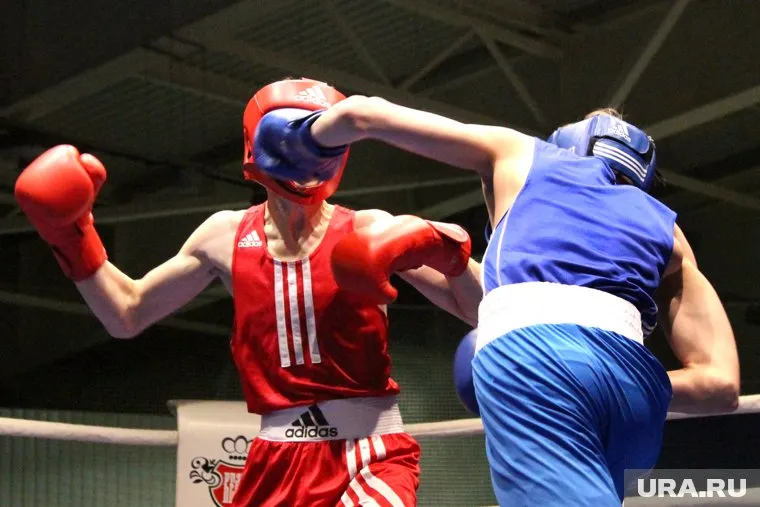 За медали боролись 260 спортсменов со всей страны