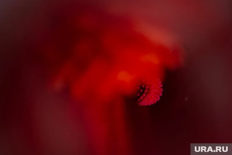 Создать с нуля вирус, подобный возбудителю COVID-19, практически невозможно